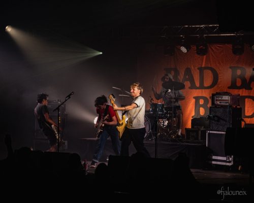 BAD-BAD-BIRD-001