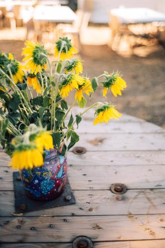 LESONDELANUIT-SPADAFORA-AMBIANCE-1