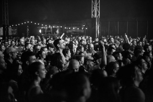 LSDLN4-ELIEVOISIN-66