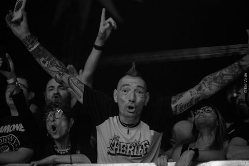 LSDLN4-ELIEVOISIN-72